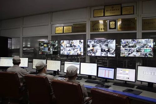 專注乳品九十載，衛崗乳業以優質裝卸服務踐行健康中國夢