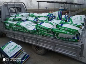 非瘟時代，裝卸品質 守護養殖安全的堅實防線